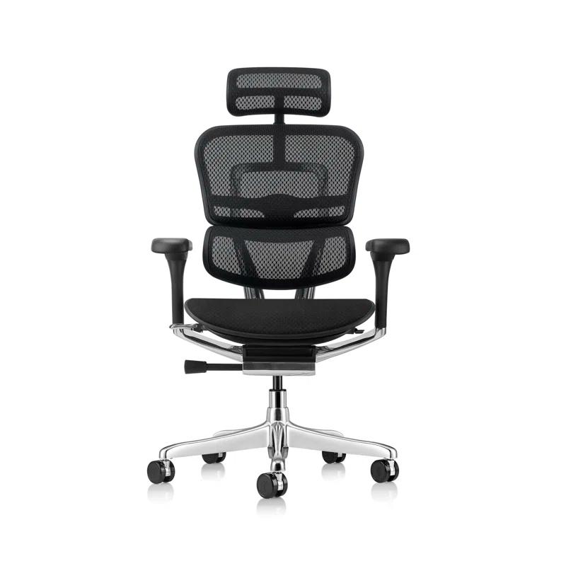 Eurotech Seating Ergohuman Executive Chair with Headrest