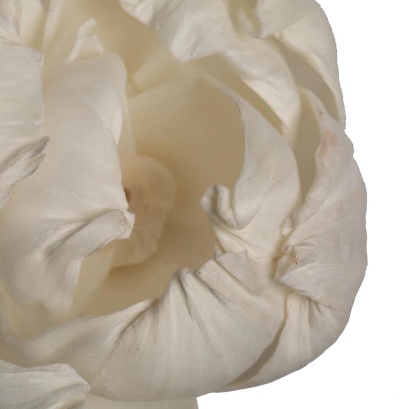 Vickerman Preserved Arrangement (Set of 24)