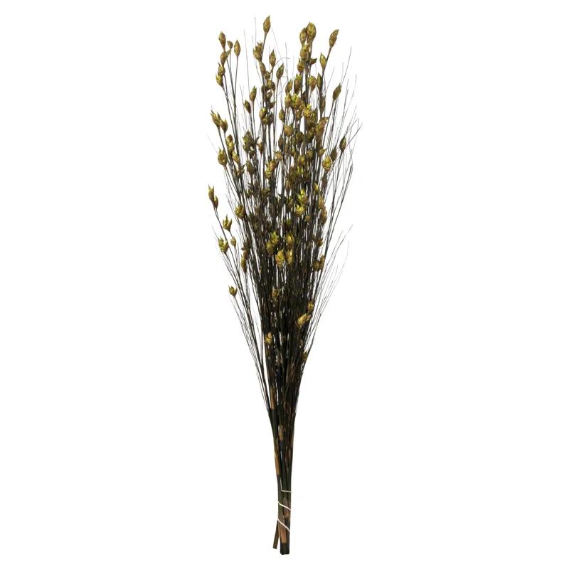 Primrue 36'' Grass