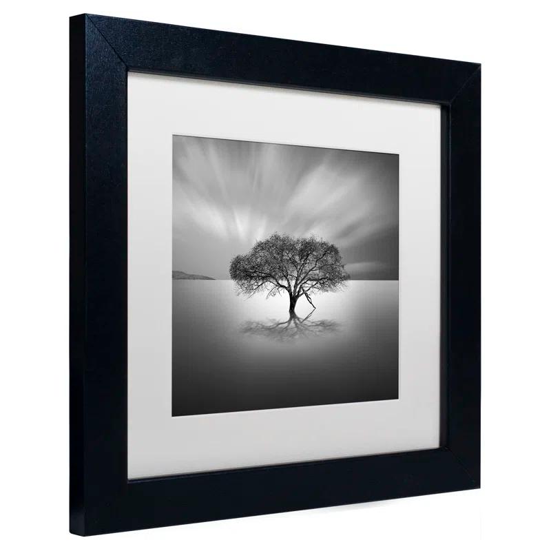 Trademark Fine Art Water Tree VIII Framed Photographic Print on Canvas & Reviews | Wayfair
