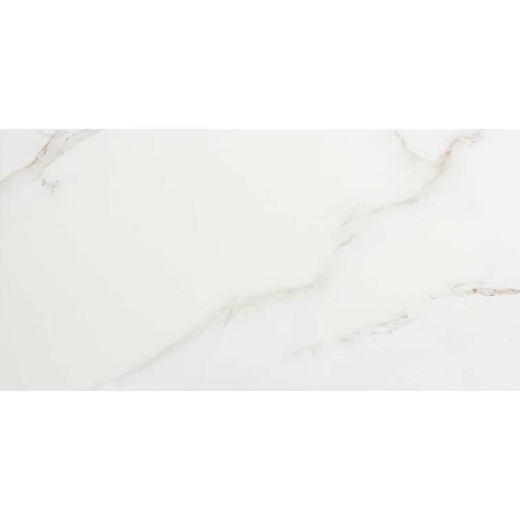 The Tile Life Huntington 24" x 48" Porcelain Marble Look Wall & Floor Tile