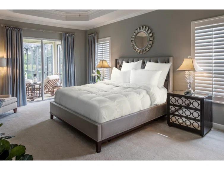 Downright Bernina Lightweight Down Comforter | Perigold
