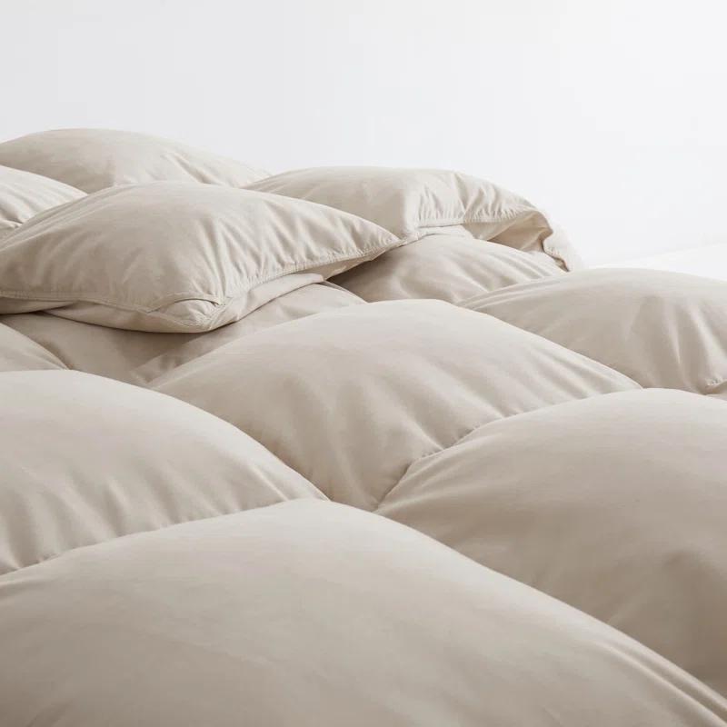 Alwyn Home 600in³/oz Fill Power Winter Goose Down Comforter