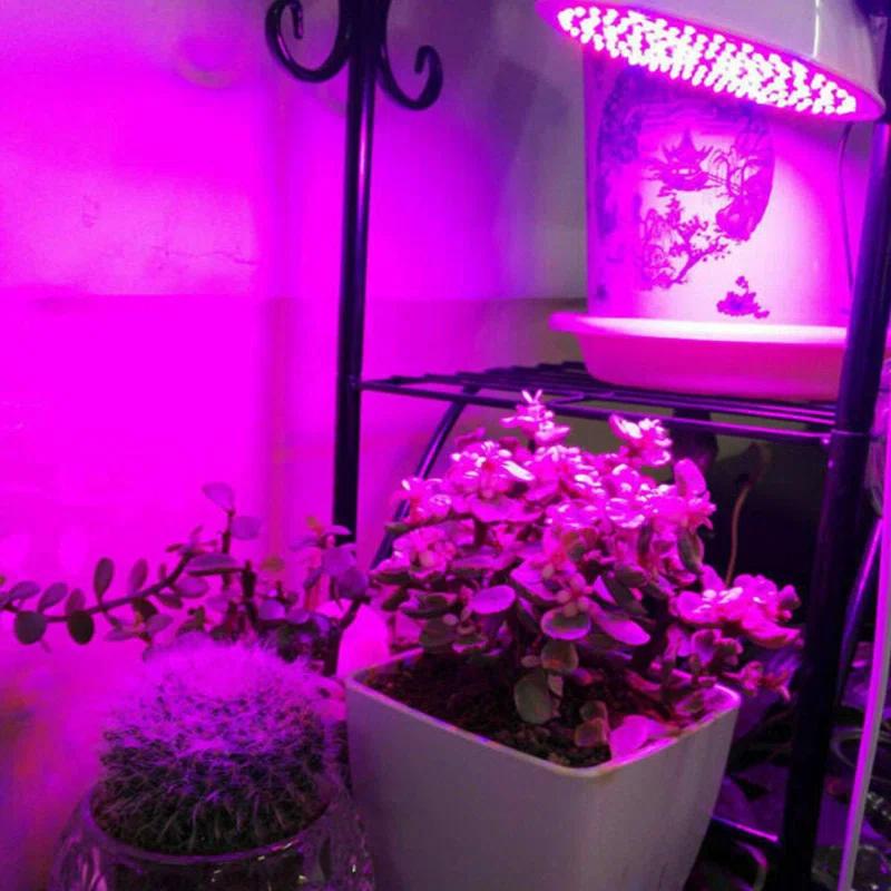 Deago Deago 20 Watt Grow Light