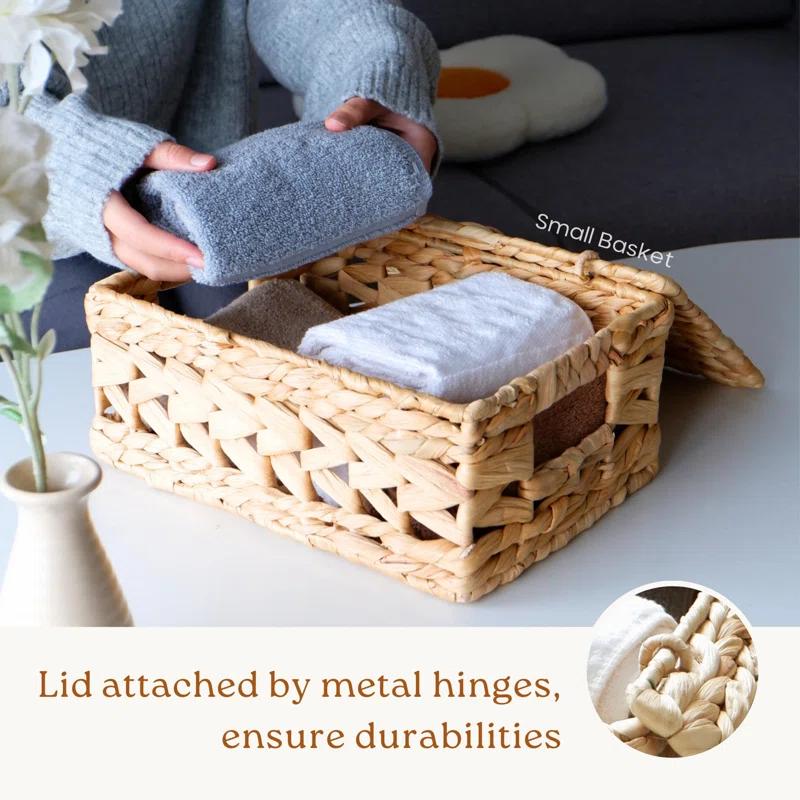 Gracie Oaks Wicker Storage Basket With Lid, Natural Decorative Wicker Basket For Shelf, Woven Baskets With Lids, 14In Lidded Basket, Rattan Storage Basket With Lid, Rattan Box Set Of 3 For Organizing