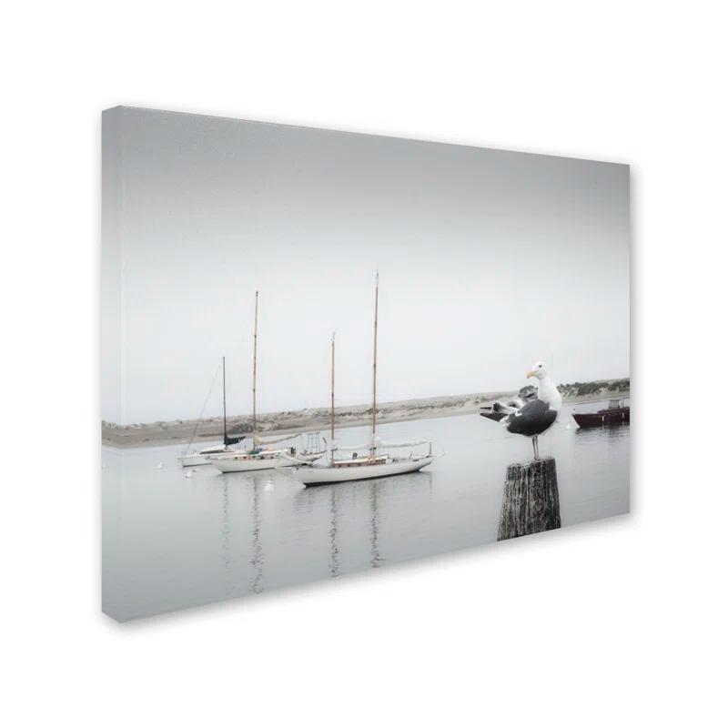 Trademark Fine Art "Four Boats and Seagull" by Moises Levy Photographic Print on Wrapped Canvas