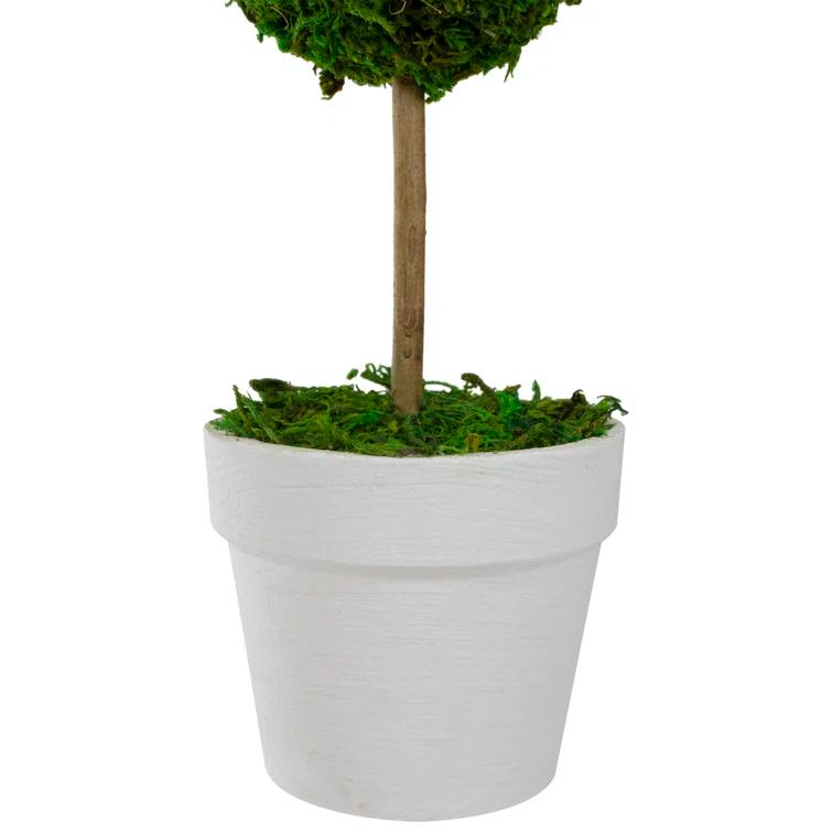 Northlight Seasonal Green Reindeer Moss Ball Potted Artificial Spring Topiary Tree