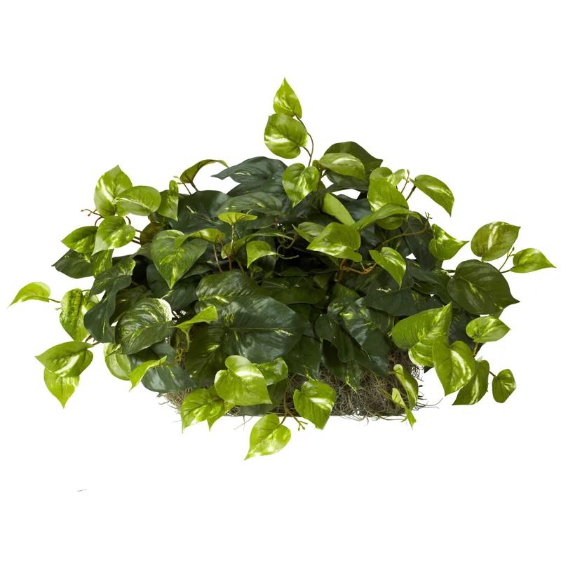 Primrue Pothos Ledge Plant (Set on Foam) Silk Plant