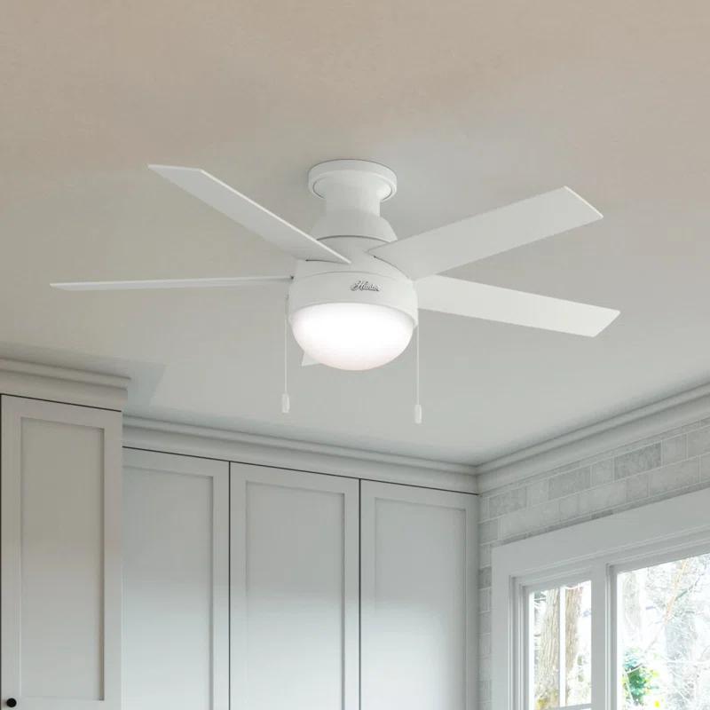 46" Anslee 5 - Blade LED Flush Mount Ceiling Fan with Pull Chain and Light Kit Included