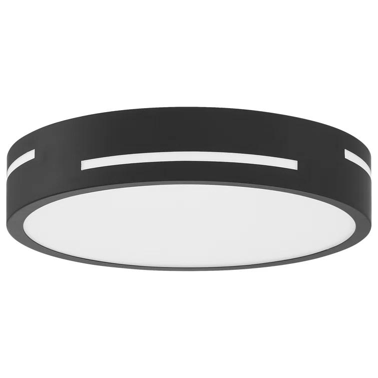 Ivy Bronx Acrylic LED Flush Mount