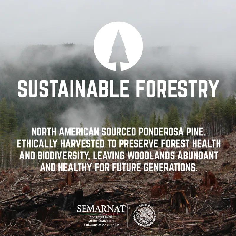 Pipe Decor 48 In. x 16 In. X 1.25 In. Live Edge Solid Console Table Wood Top