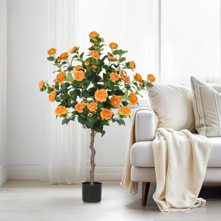 Primrue Primrue 49.2 Camellia Tree Plant (Set of 2)