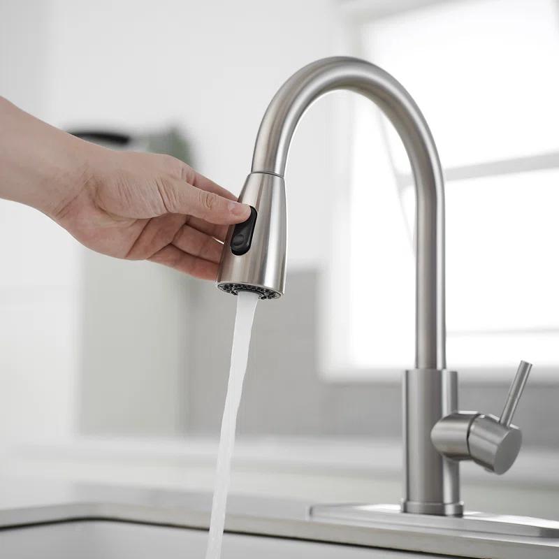 VIBRANTBATH Pull Out Kitchen Faucet