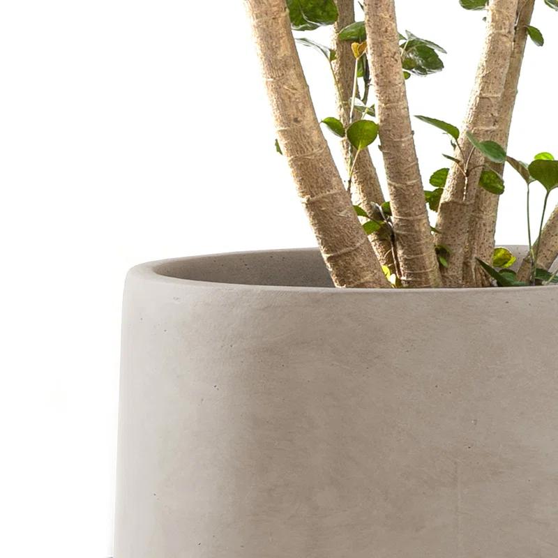 Kante Kante Round Concrete Planters, Outdoor Indoor Pots Containers with Drainage Holes Set