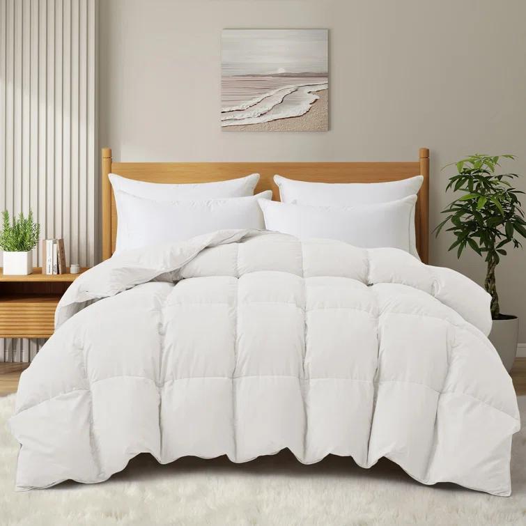 Alwyn Home 600in³/oz Fill Power Winter Goose Down Comforter