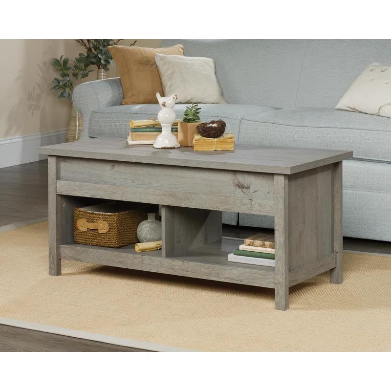 Sauder Modern Lift-top Coffee Table