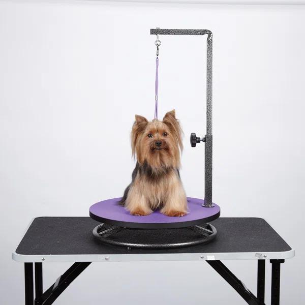 Master Equipment 4.8'' H x 18'' W x 18'' D Metal Dog Tabletop Grooming Table