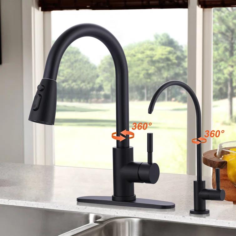 ARCORA ARCORA Stainless Steel Pull-Down Kitchen Faucet and Water Filter Faucet Combo AR7100301B-L