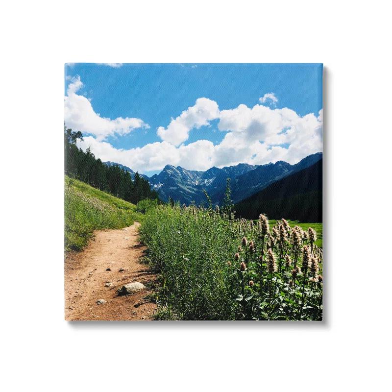 Stupell Industries " Mountain Field Nature Path " by Anna Coppel