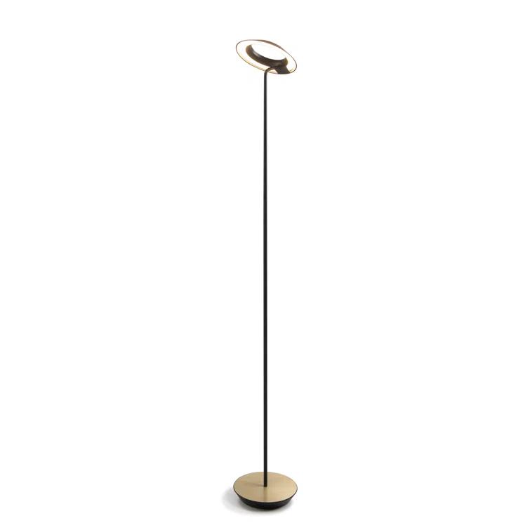 Royyo 45.5'' LED Floor Lamp