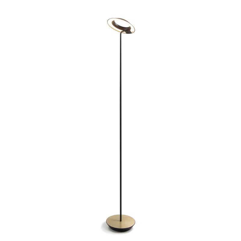Royyo 45.5'' LED Floor Lamp