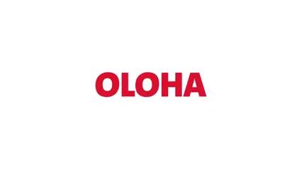 Oloha Wireless Hanging Lamp Bowl