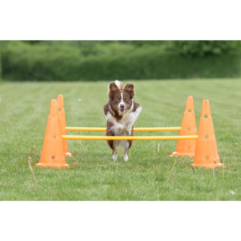 TRIXIE TRIXIE Dog Agility Hurdle Cone Set, Portable Canine Agility Training Set