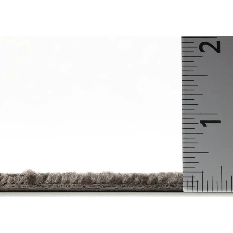 Shaw Apollo 24-in x 24-in Multi-Level Loop Adhesive Carpet Tile (48-sq ft)