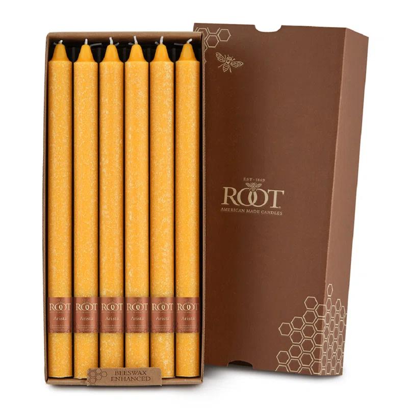 Root Candles Timberline Arista Dinner Unscented Taper Candle (Set of 12)