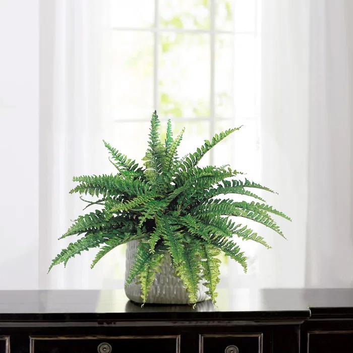 Gracie Oaks Realistic Faux Green Fern Plant - Artificial Fern for Indoor and Outdoor Decor & Reviews | Wayfair