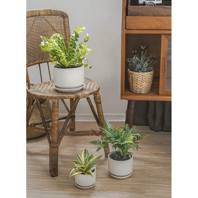 Set Of 3 Modern Ceramic Planter Pots With Drainage - Stylish Indoor/Outdoor Decor