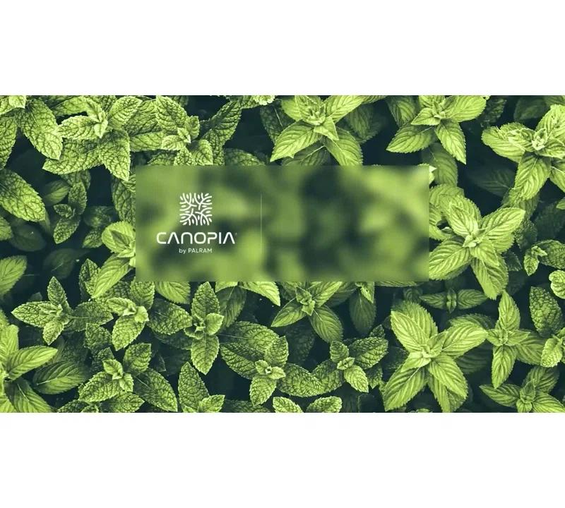 Canopia Palram - Canopia Greenhouse Trellising Kit