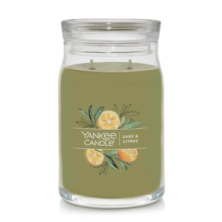 YANKEE CANDLE Signature Sage & Citrus Scented Jar Candle
