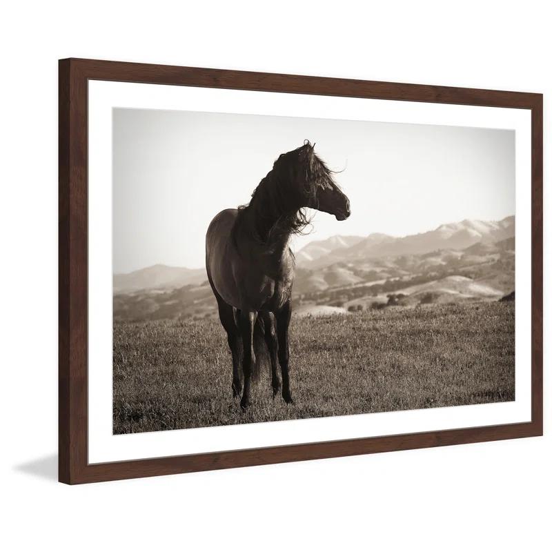 Marmont Hill "Horse in Wind" Framed Print
