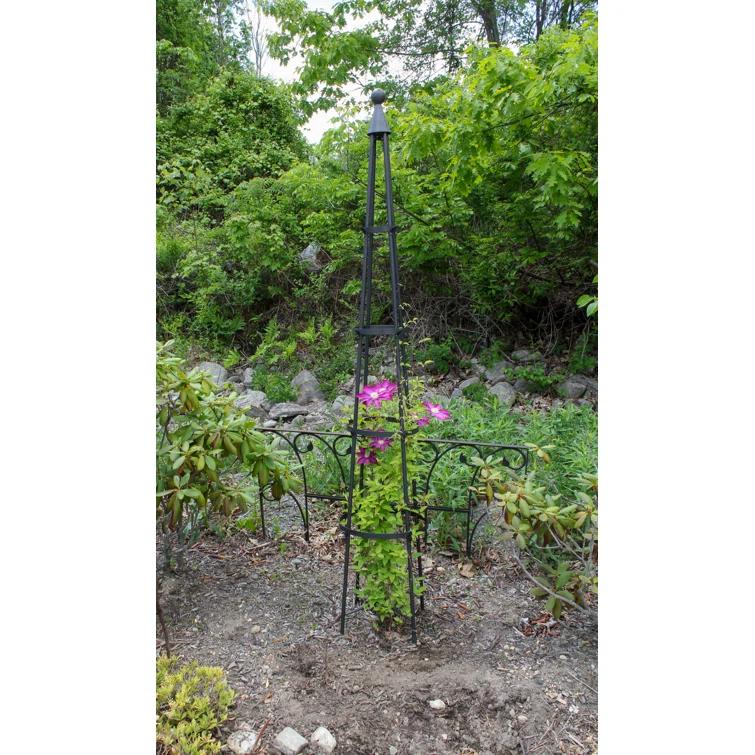Latitude Run® Alarcon-Chacon 84'' H x 13'' W Iron Obelisk Trellis