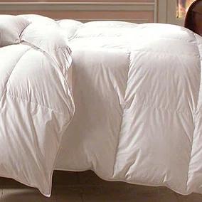 Downright Bernina Lightweight Down Comforter | Perigold