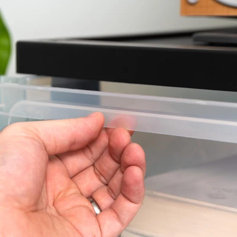 IRIS USA, Inc. 4-Drawer Narrow Plastic Storage Drawer Cart, Black (Set of 2)