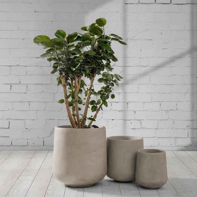 Kante Kante Round Concrete Planters, Outdoor Indoor Pots Containers with Drainage Holes Set