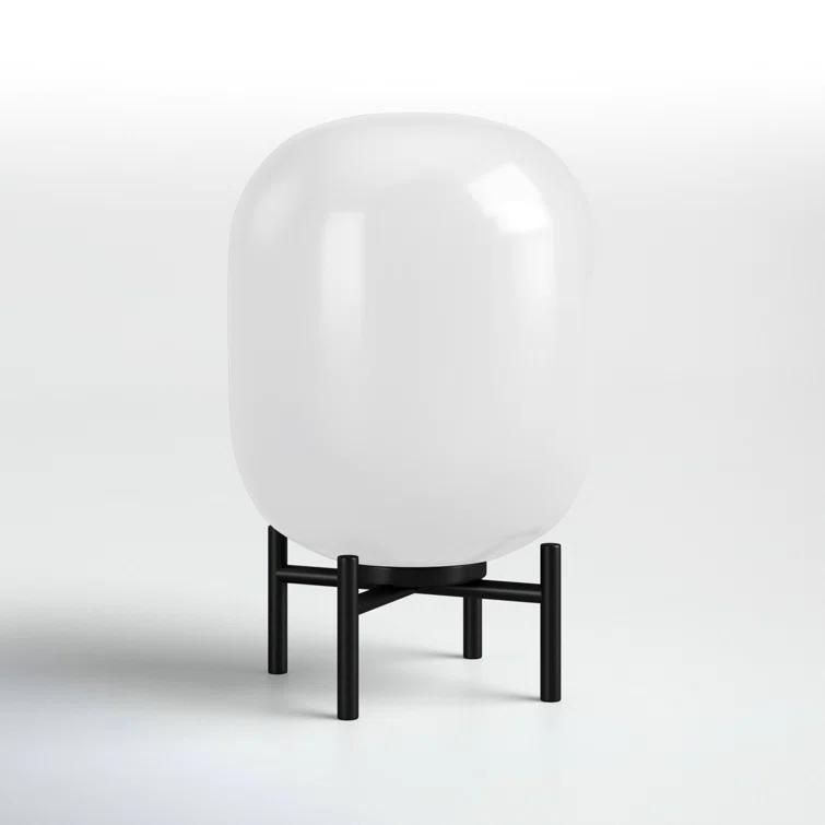 Danae Metal Novelty Lamp