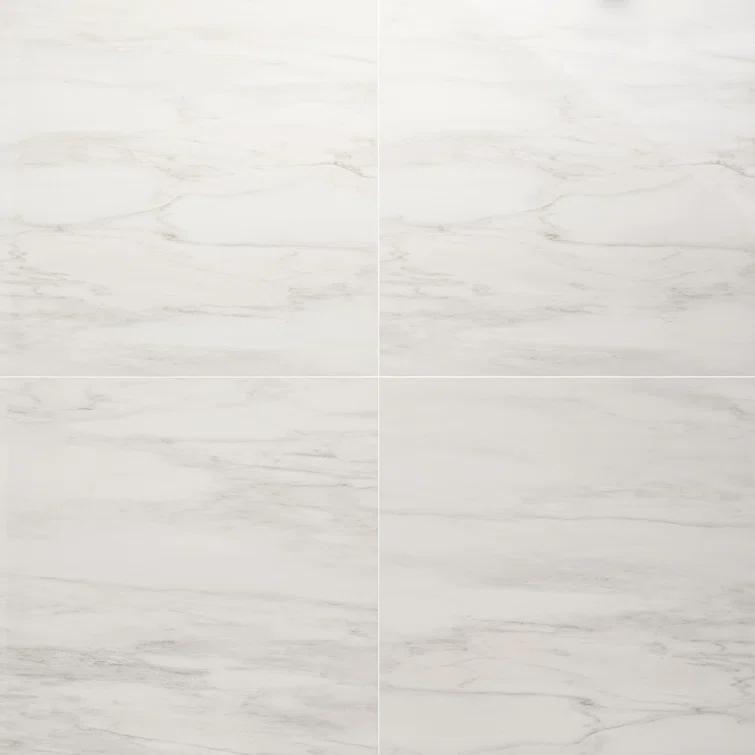 24" x 24" Polished Marble Look Porcelain Floor and Wall Tile (15.5 Sq. Ft. / Case)