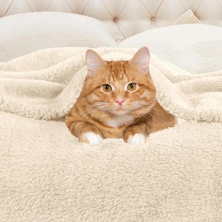 Superior Superior Solid Polyester Reversible All-Season Fleece Throws Blanket