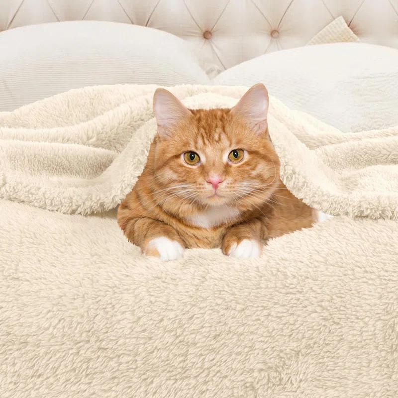 Superior Superior Solid Polyester Reversible All-Season Fleece Throws Blanket