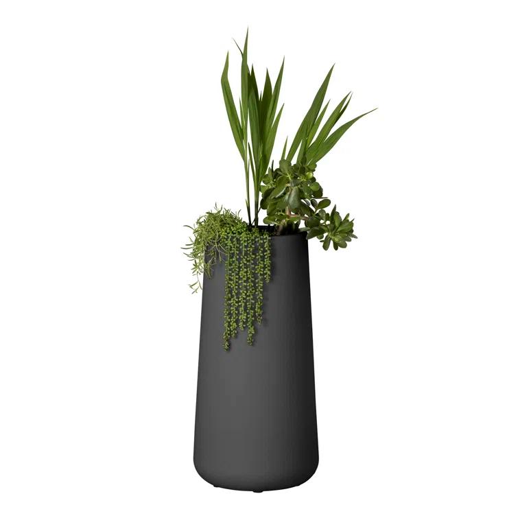 South Shore Dalya Resin Pot Planter & Reviews | AllModern