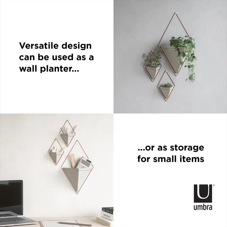 Umbra Trigg Planter Wall Decor & Reviews | Wayfair
