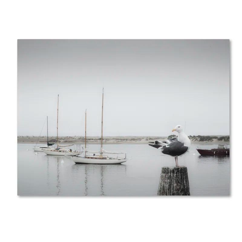 Trademark Fine Art "Four Boats and Seagull" by Moises Levy Photographic Print on Wrapped Canvas