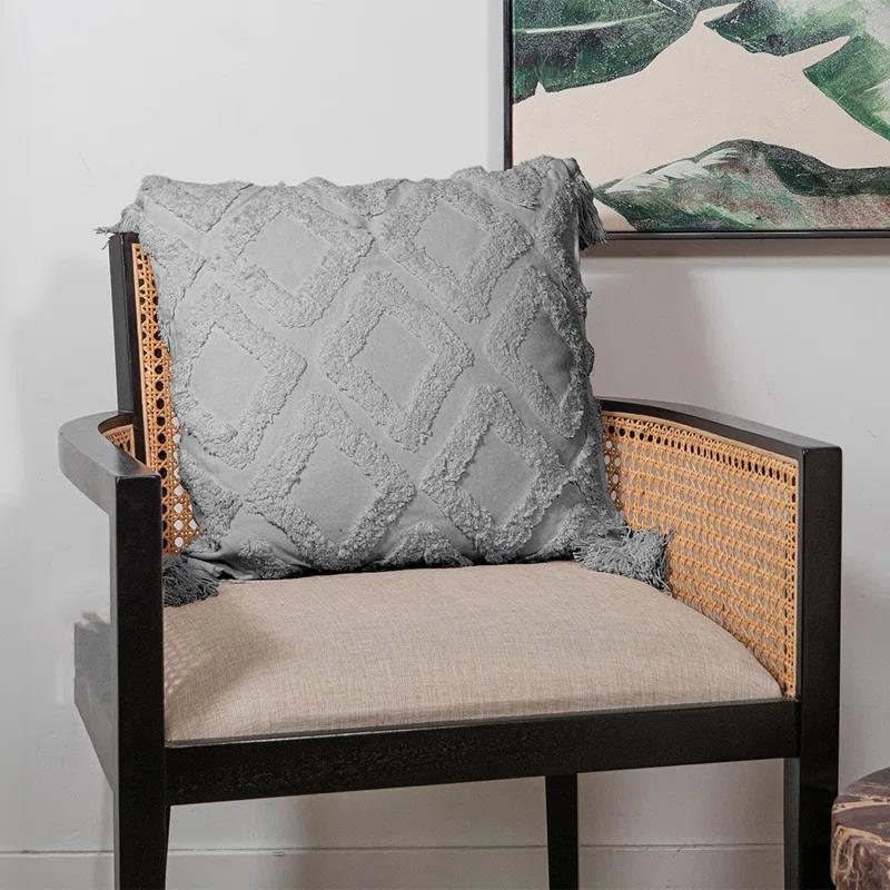 Tassels Cotton Indoor/Outdoor Throw Pillow (Set of 2)