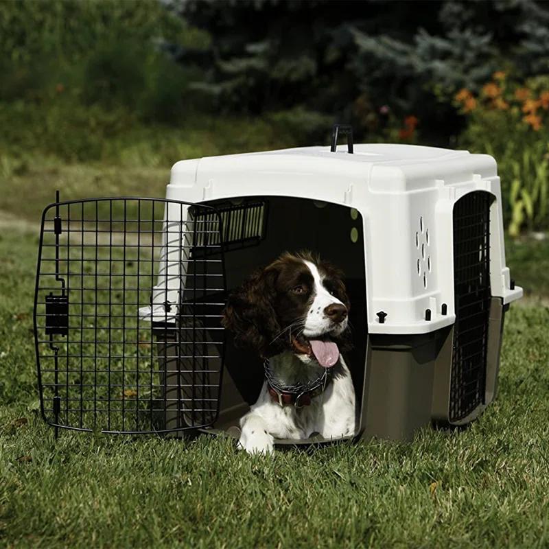 Pet Carrier