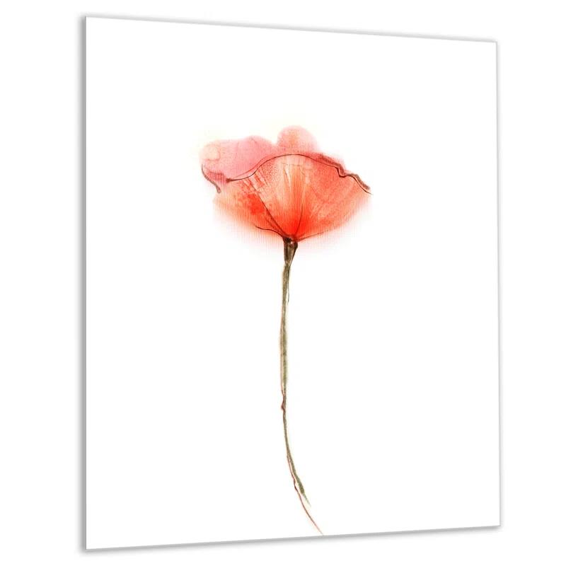 Design Art Modern & Contemporary