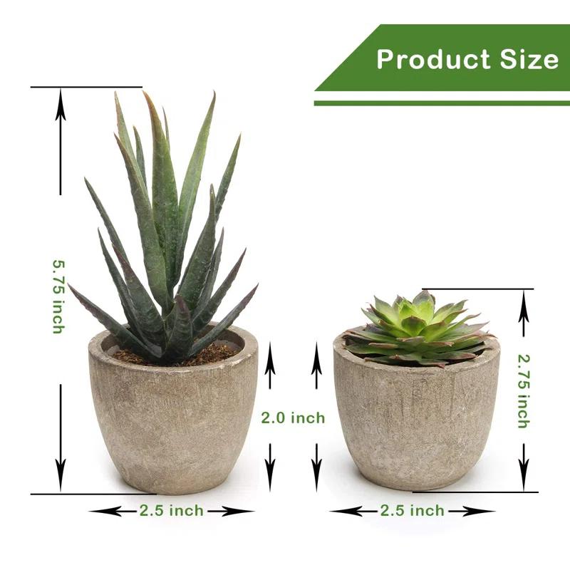 Primrue Artificial Succulent Plants Potted, Assorted Decorative Faux Succulent Potted Fake Cactus Cacti Plants With Pots, Set Of 5