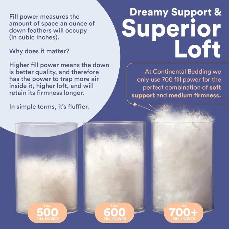 ContinentalBedding Continental Bedding Luxury 700 Fill Power Down Bed Pillows 2 Pack (Set of 2)